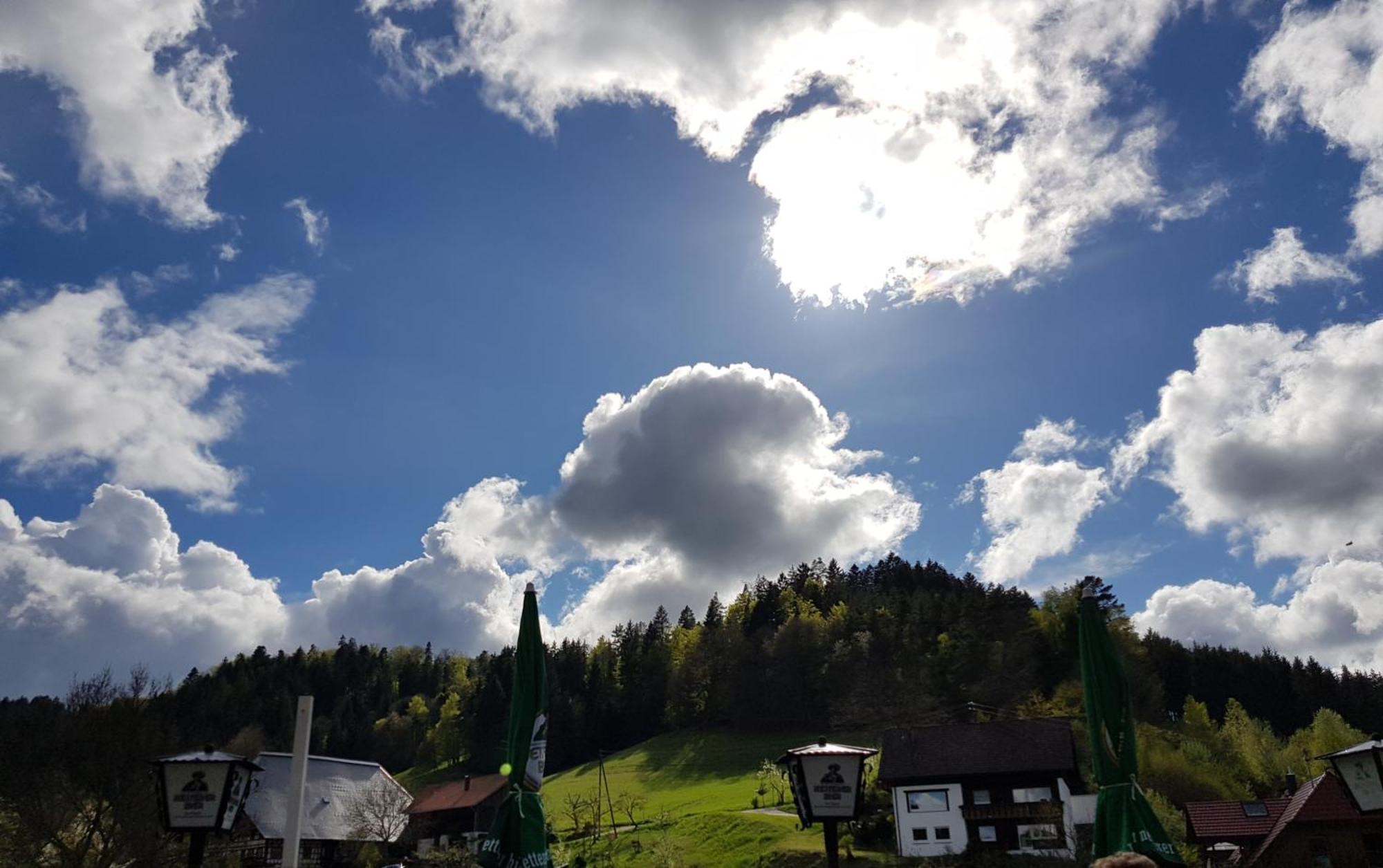 Gasthaus Muehlenstube เลาเทอร์บาค ภายนอก รูปภาพ