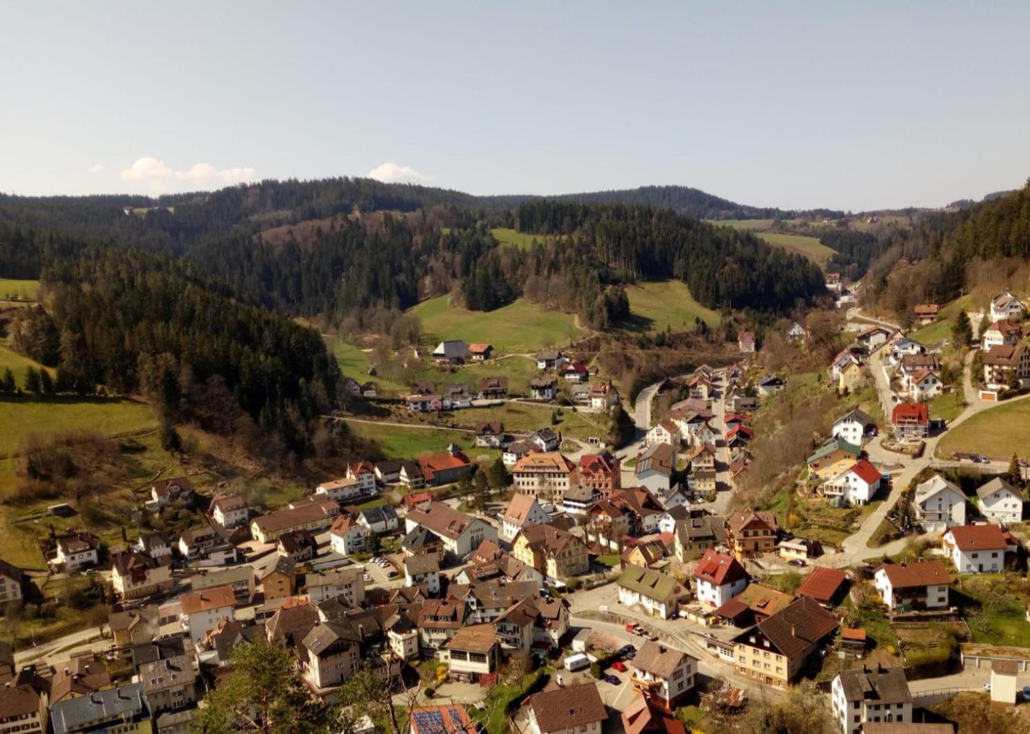 Gasthaus Muehlenstube เลาเทอร์บาค ภายนอก รูปภาพ