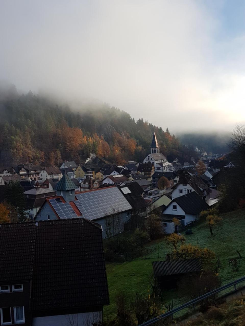 Gasthaus Muehlenstube เลาเทอร์บาค ภายนอก รูปภาพ